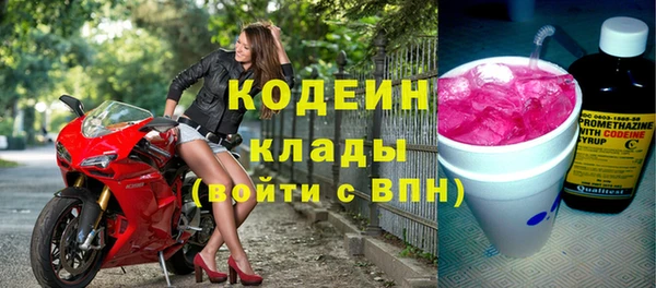 ECSTASY Бородино