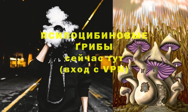 кокаин перу Богданович