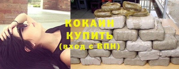 ECSTASY Бородино