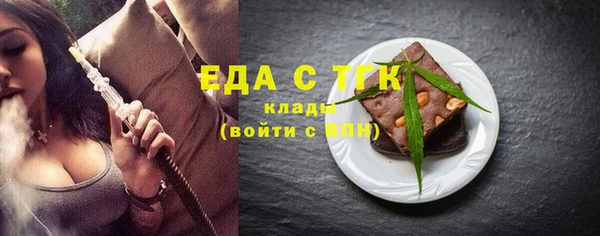ECSTASY Бородино