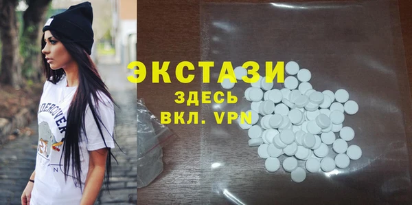 ECSTASY Бородино